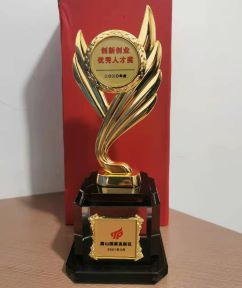 2021年創(chuàng  )新創(chuàng  )業(yè)優(yōu)秀人才獎