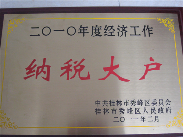 2010經(jīng)濟工作納稅大戶(hù)