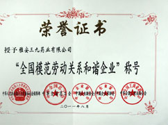全國模范勞動(dòng)關(guān)系和諧企業(yè)(證書(shū))